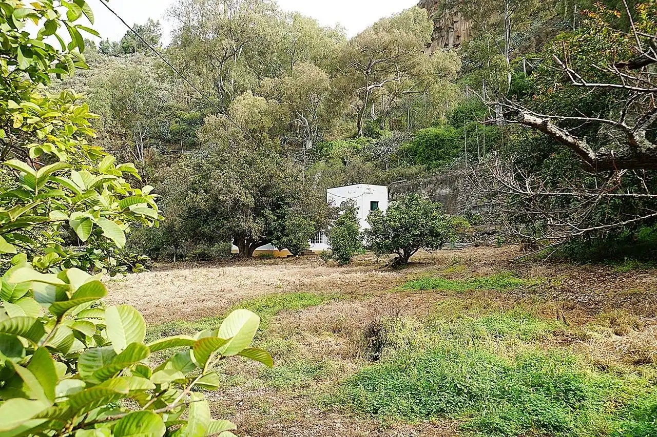 Finca rústica en venta en Teror, Las Palmas