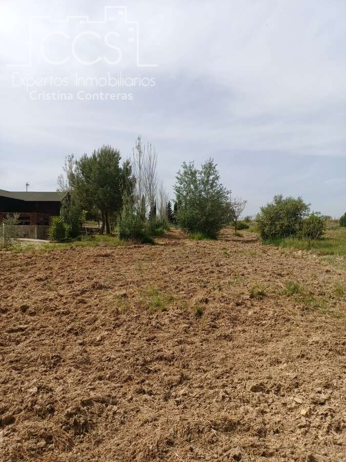 Finca rústica en venta en Rociana del Condado
