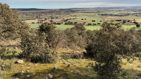 Foto 4 de Terreno en venta en Alcolea de Calatrava, Ciudad Real