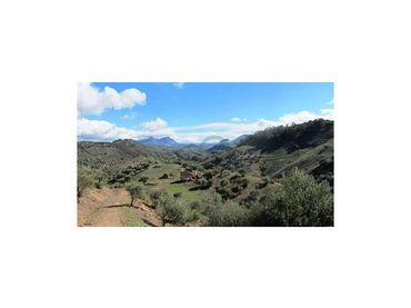 Casa en venta en Algodonales