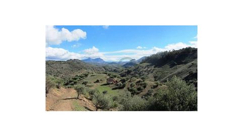 Finca para Reformar, 15.2 H. Vistas Espectaculares
