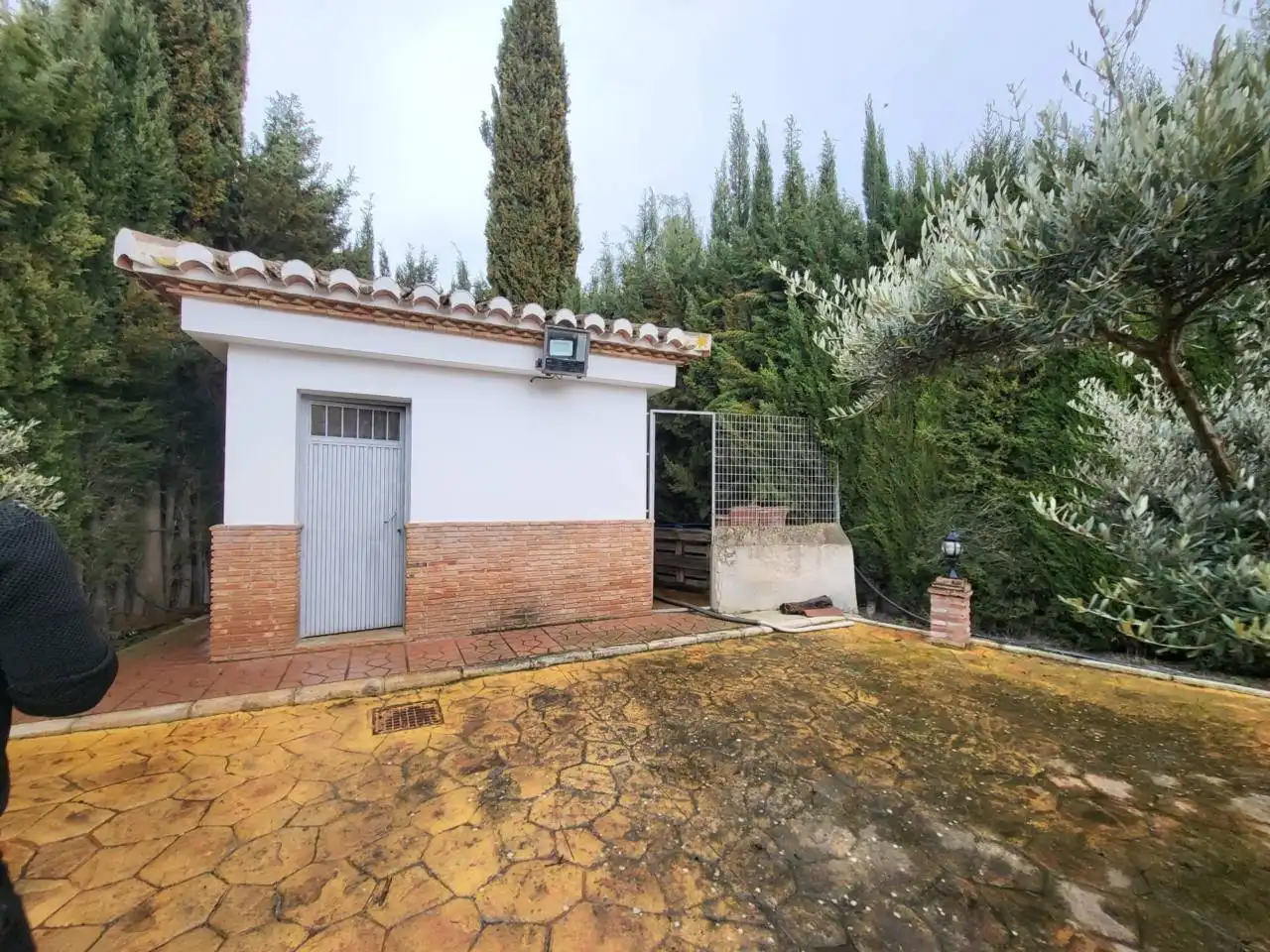 Chalet con piscina en venta en Baza, imagen 13