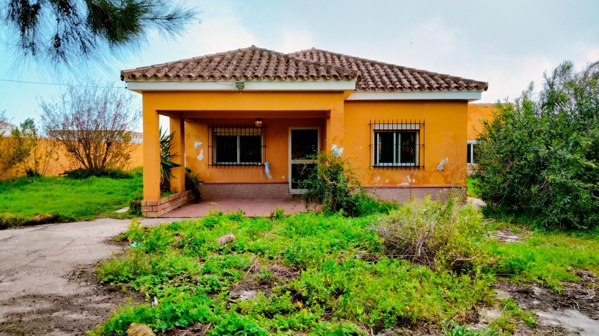 Vista exterior de Casa o xalet en venda en Chiclana de la Frontera amb Jardí privat