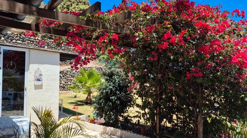 Foto 4 de Casa o xalet en venda a San Felipe - San Marcos - Las Cañas, Santa Cruz de Tenerife