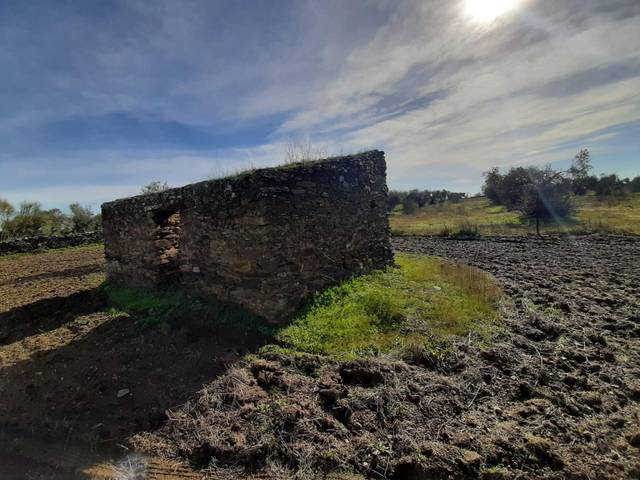 Terreno en Venta en Botija