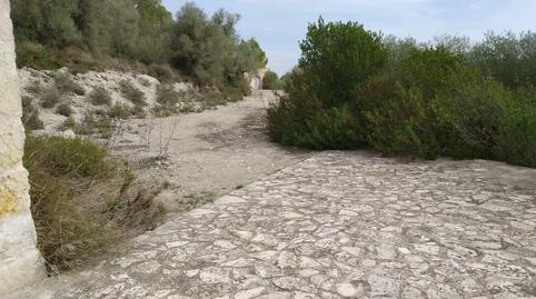 Foto 3 de Finca rústica en venda a Sant Joan, Illes Balears