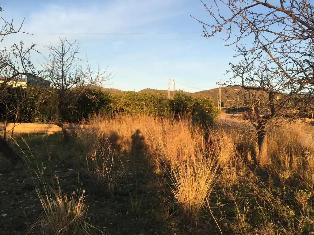 Terreno rustico in vendita a C/ Cerdá, imagen 4
