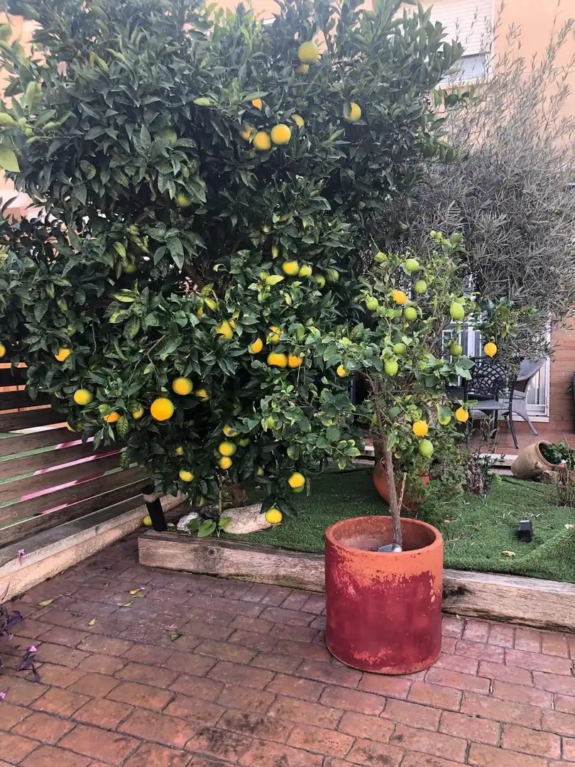 Jardín de Casa adosada en venta en Sant Jaume dels Domenys con Calefacción, Terraza y Trastero