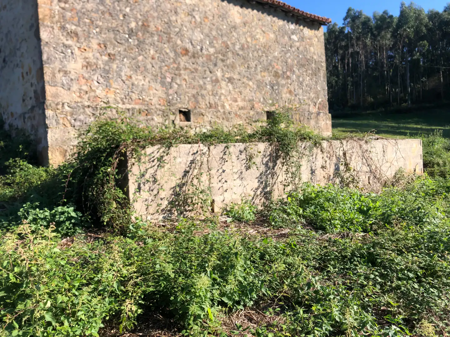 Casa rústica amb jardí en venda a N/A, imagen 20