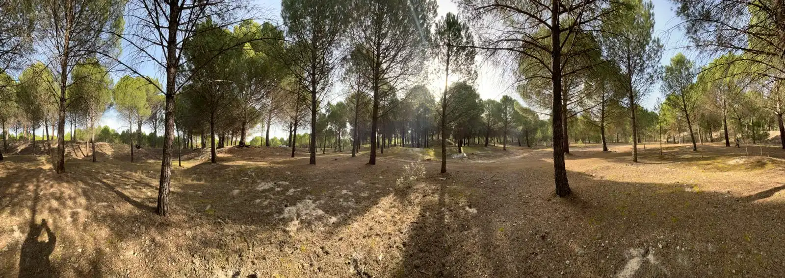 Terreno en venta en Tudela de Duero