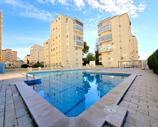 Piscina de Apartament de lloguer en Gandia amb Aire condicionat, Terrassa i Moblat