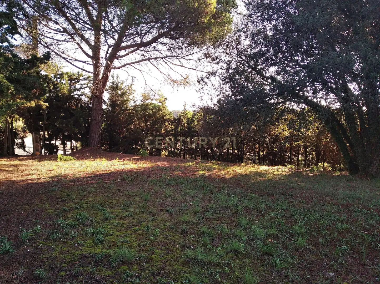 Residential land for sale in Carrer del Llinars, 6, Sant Pere de Vilamajor, Spain 6, imagen 13