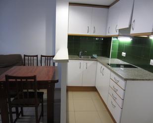 Kitchen of Flat to rent in Girona Capital