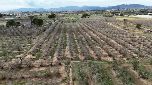 Terrenys i solars en venda a PDA PLANES DEL ROQUÍS POL 3 PARC. 47, imagen 3