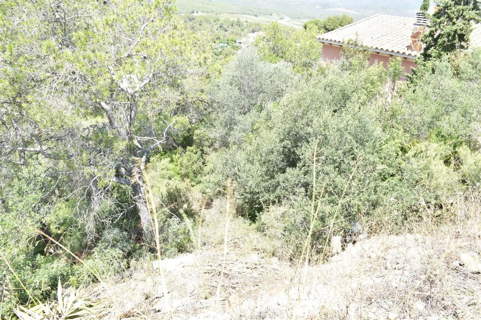 Rural land for sale in TER-UR CAN GORDEI, imagen 2