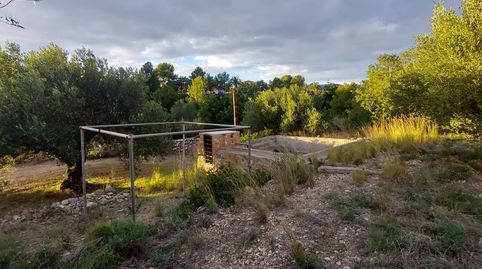 Photo 3 of Land for sale in Centre, Mont-roig del Camp