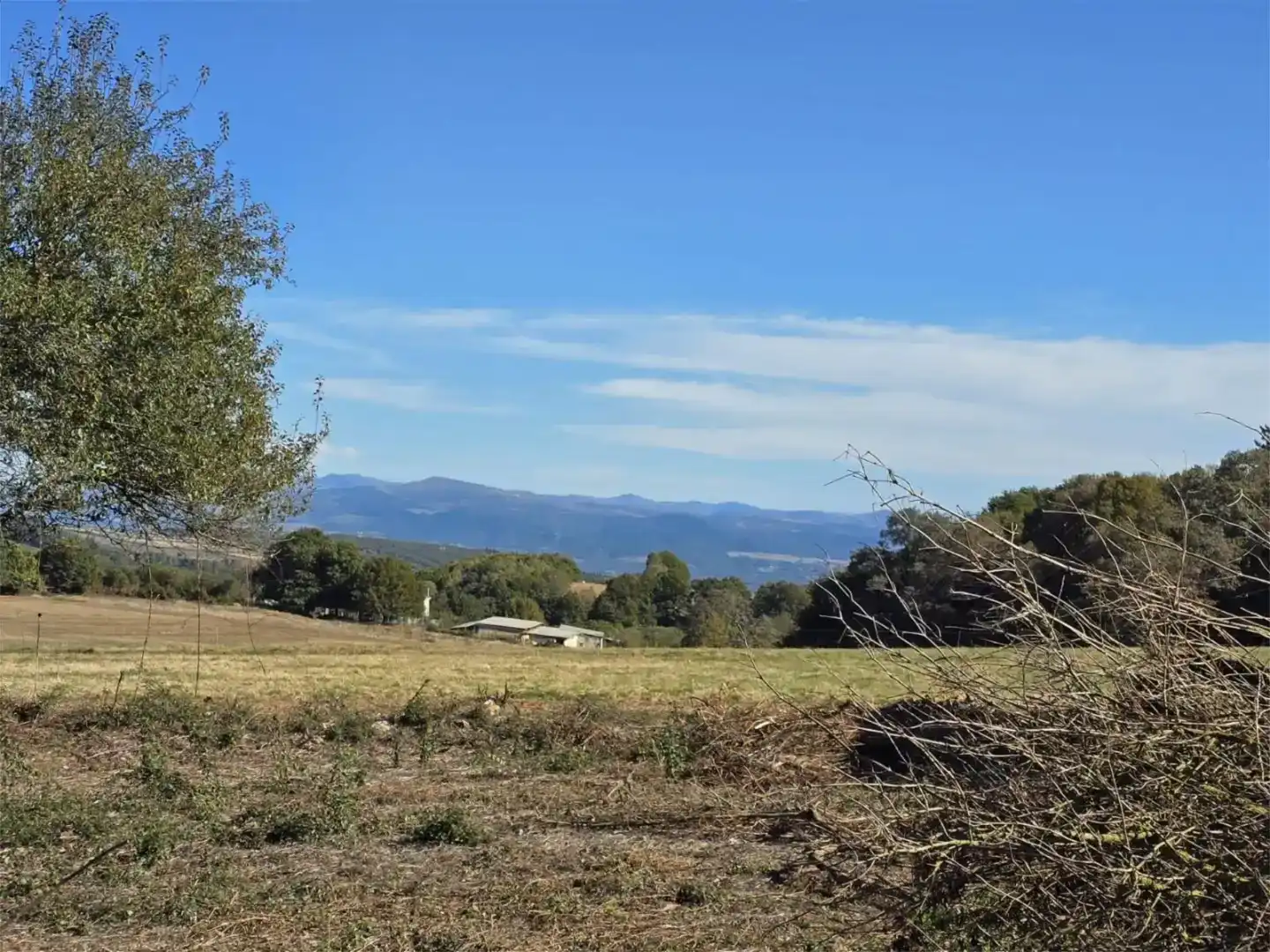 Casa o xalet en venda en Paradela amb Jardí privat