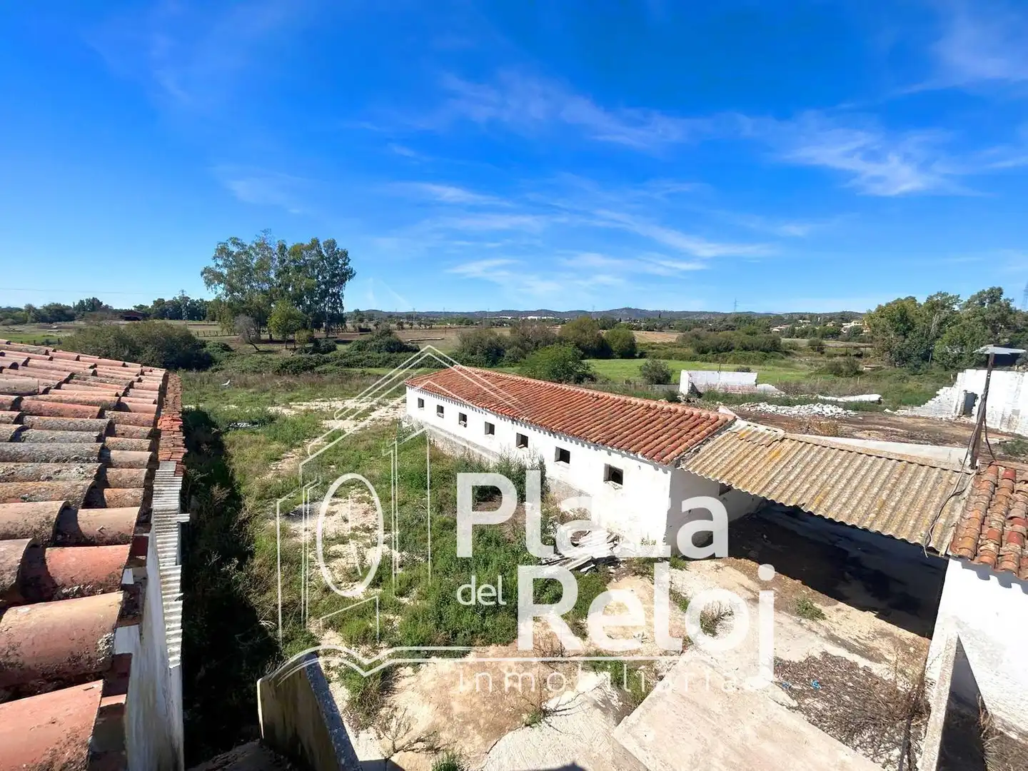 Land for sale in Pepino