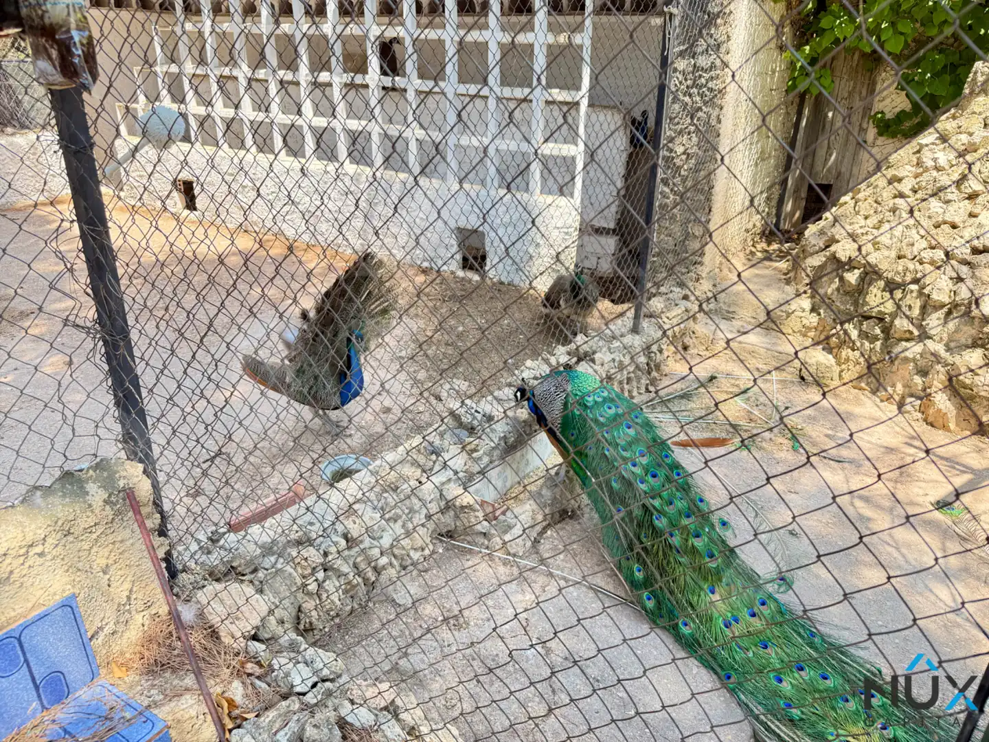 Casa o xalet en venda a N-330, Cofrentes