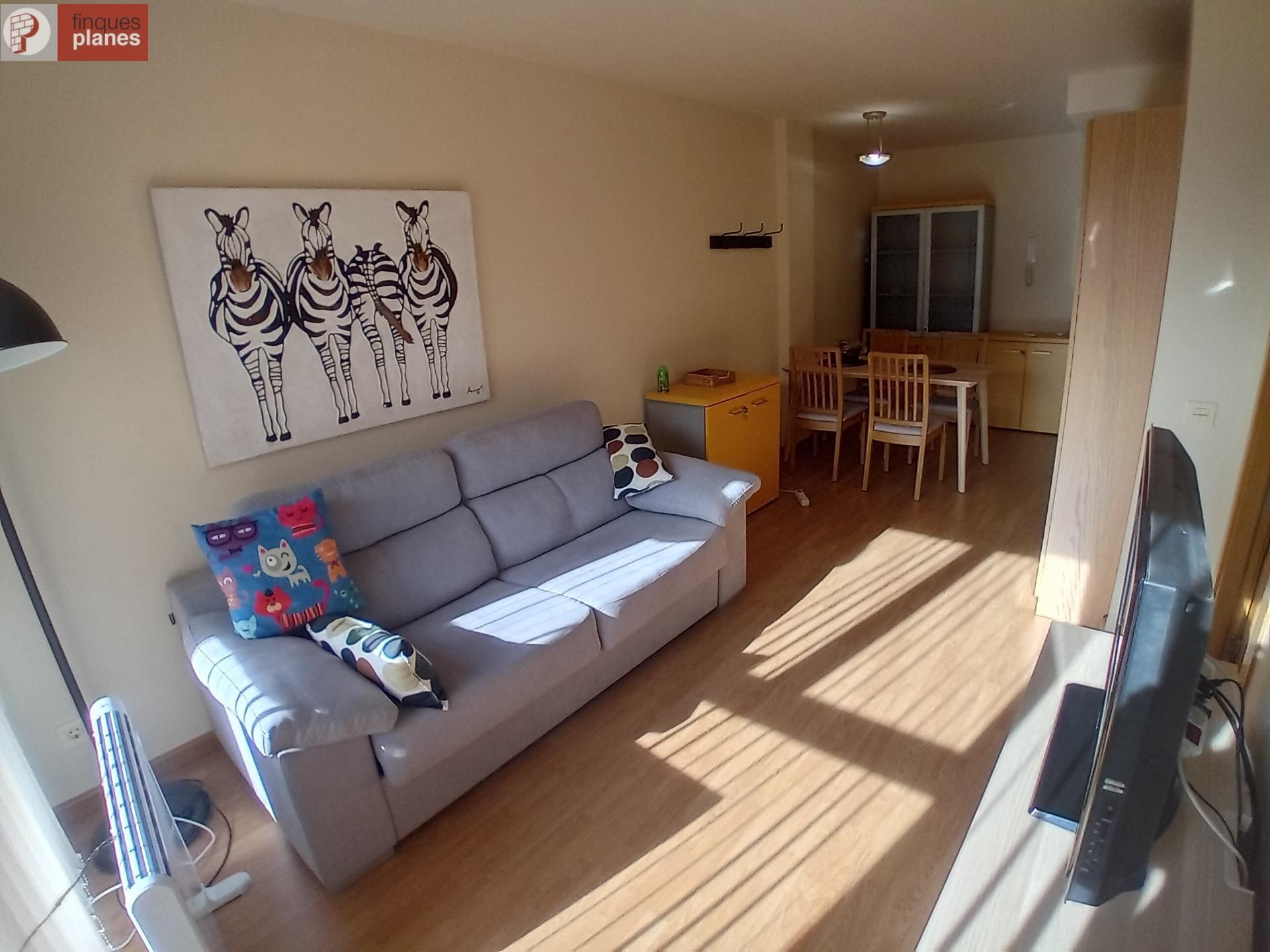 Living room of Duplex for sale in Coll de Nargó  with Balcony