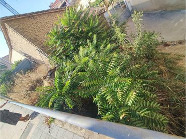 Terreno industriale in vendita a Avenida ERNEST LLUCH