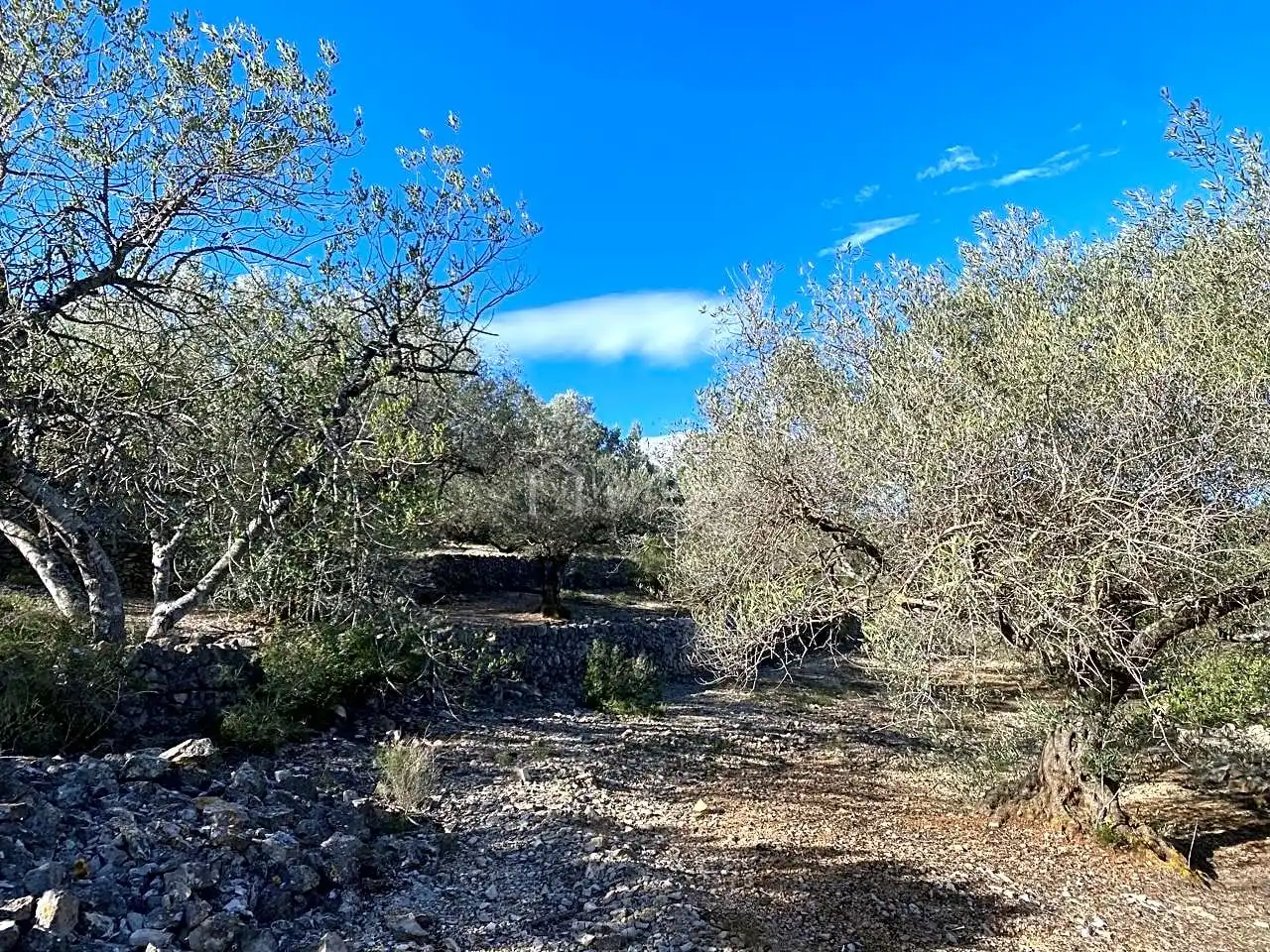 Terreno rustico in vendita a Aubachs, imagen 14