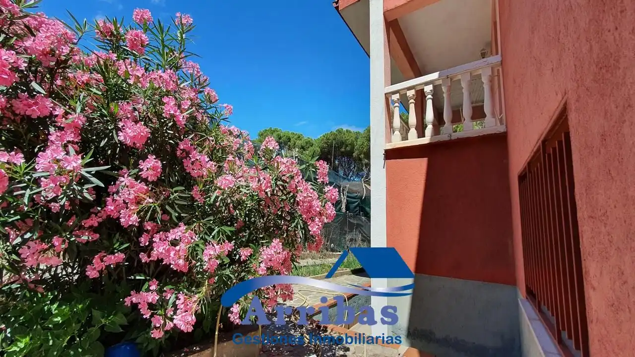Jardín de Casa o chalet en venta en Almorox con Aire acondicionado, Calefacción y Jardín privado