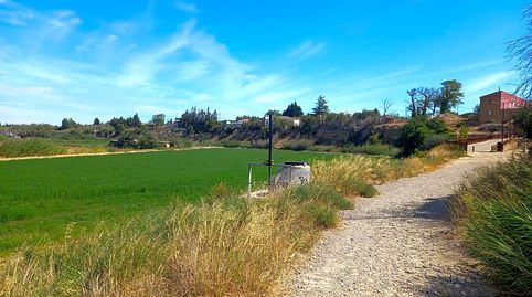 Photo 3 of Land for sale in Soto Peña Ortiz, 96, Peñaflor, Zaragoza Capital