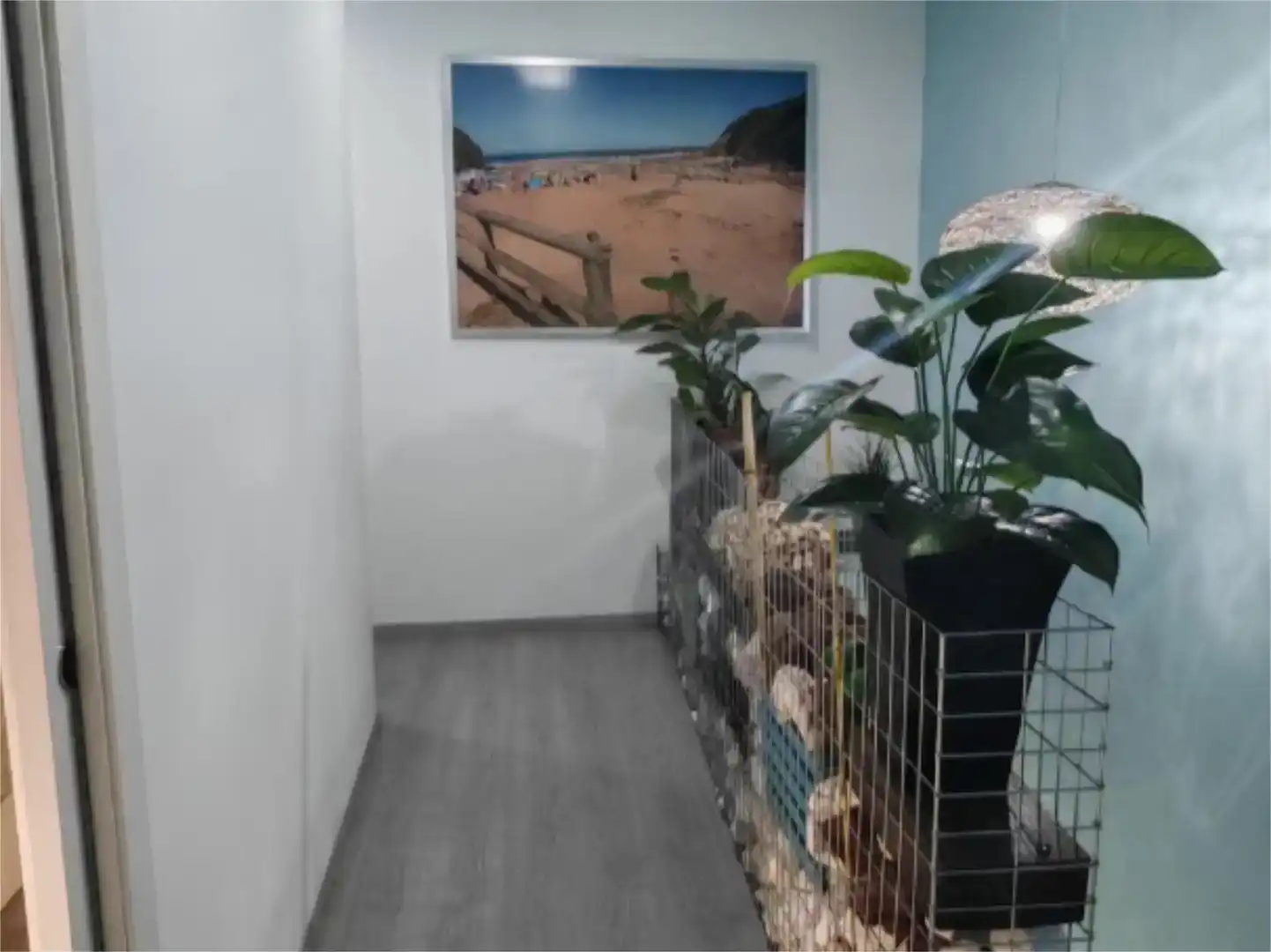 Planta baja en venta en Bullas