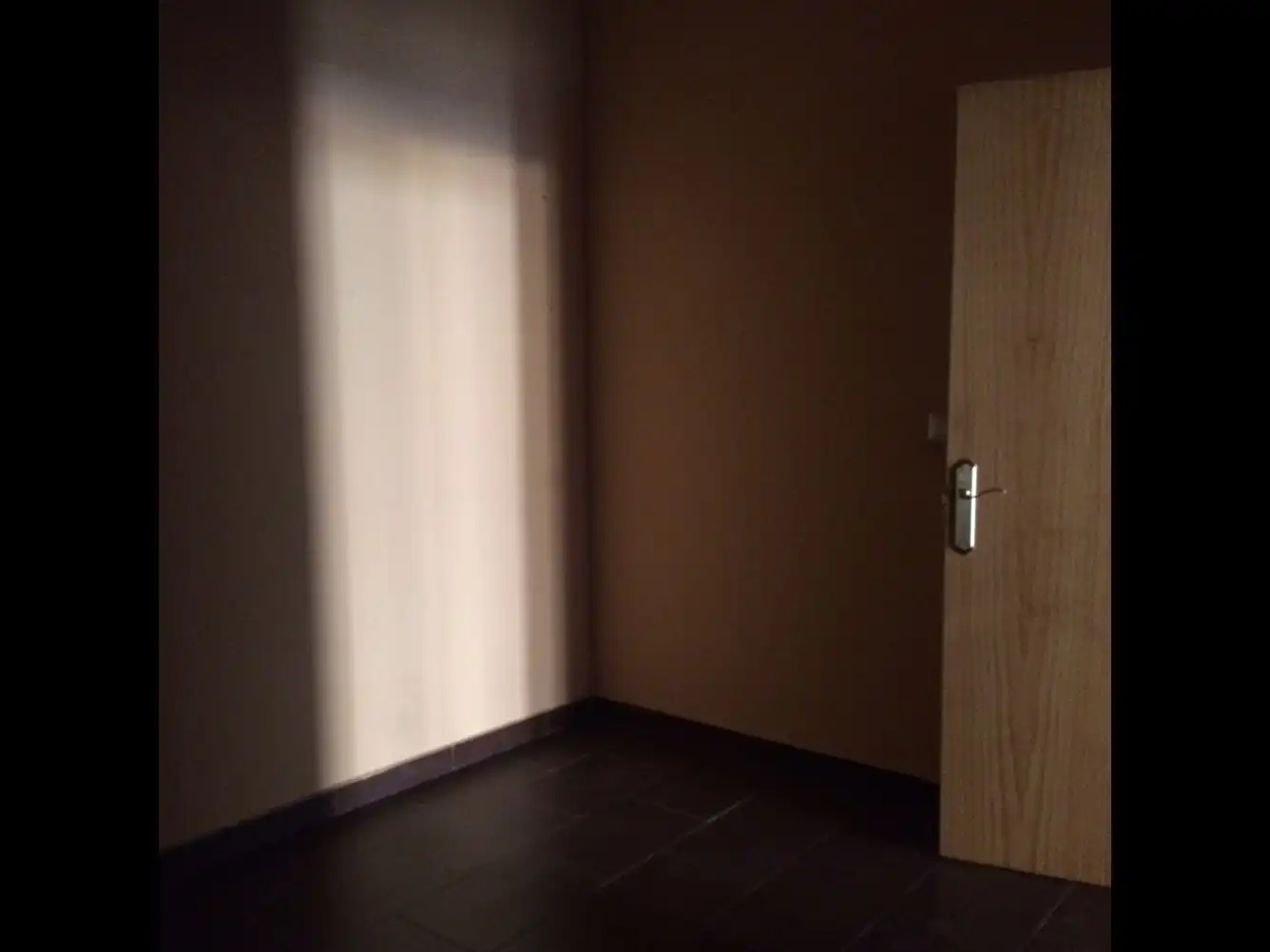 Gewerbefläche zur Miete in Centro Ciudad, imagen 8