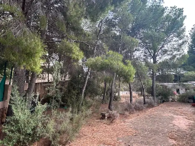 Xalet amb piscina en venda a Casco Urbano, imagen 6