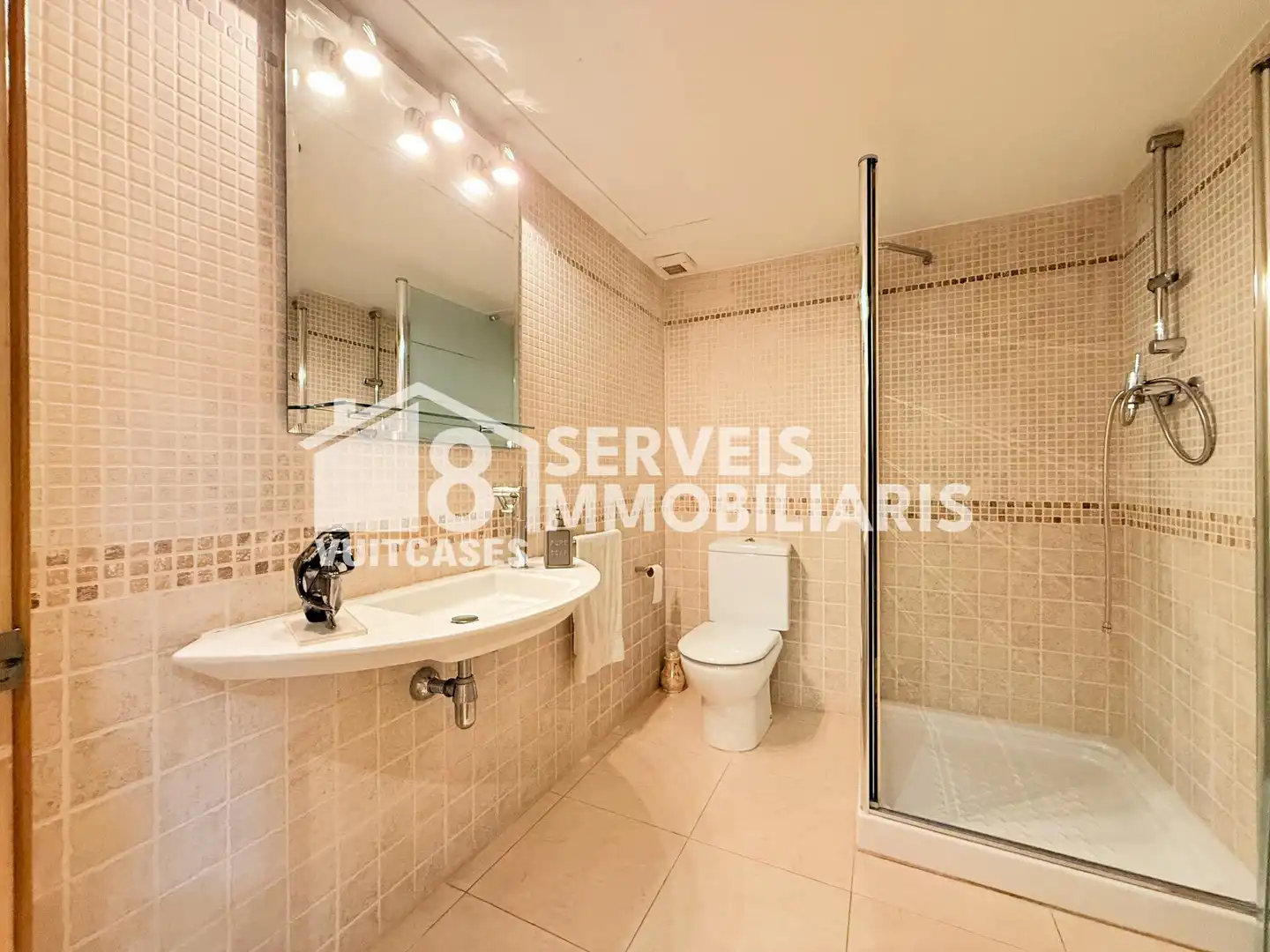 House with garden for sale in Pirineu 12, imagen 45