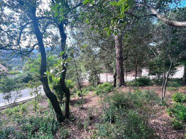 Terreni e lotti in vendita a Vacarisses