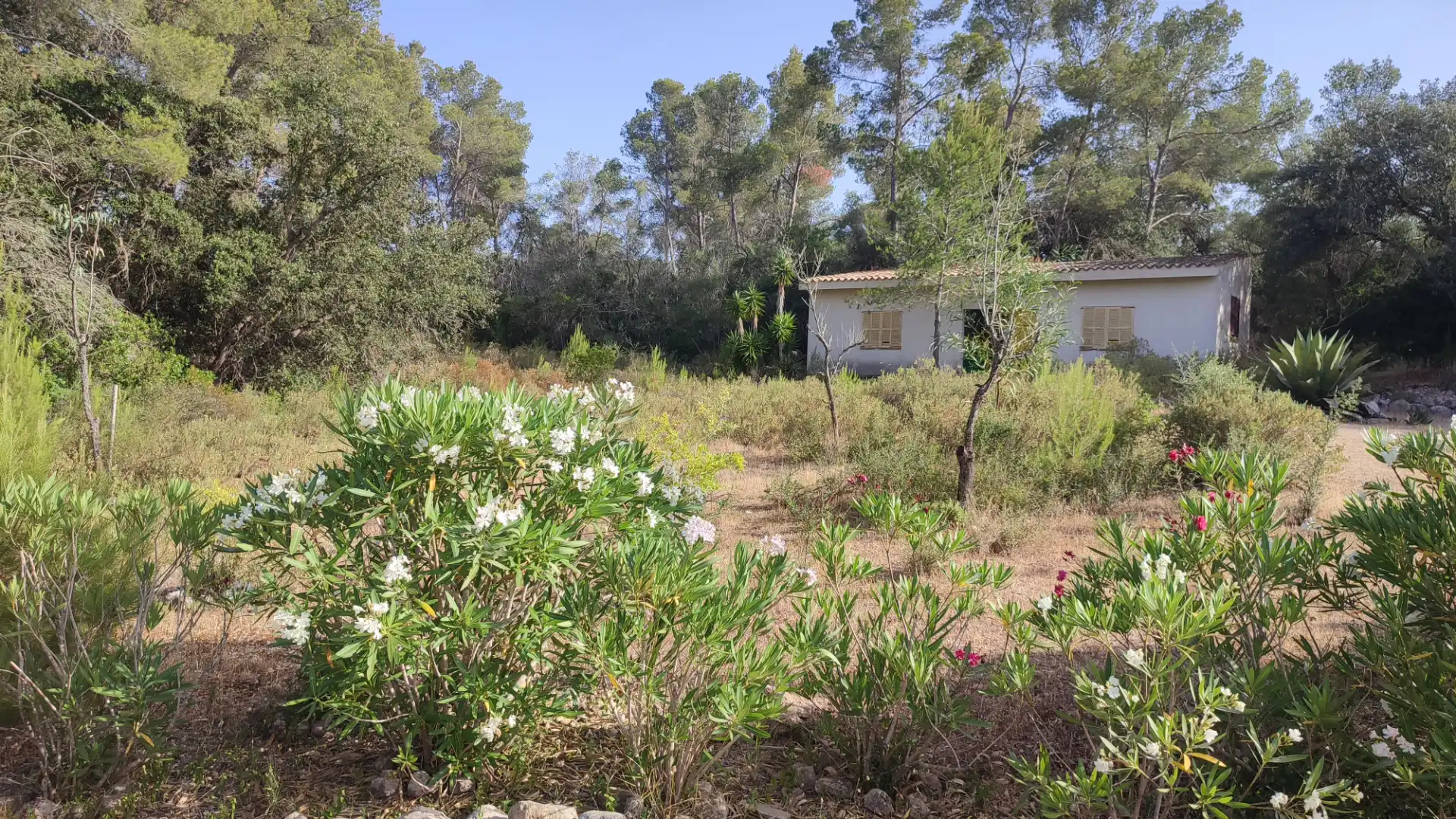 Villa avec piscine à vendre à Diseminado Diseminados Var 261, imagen 12