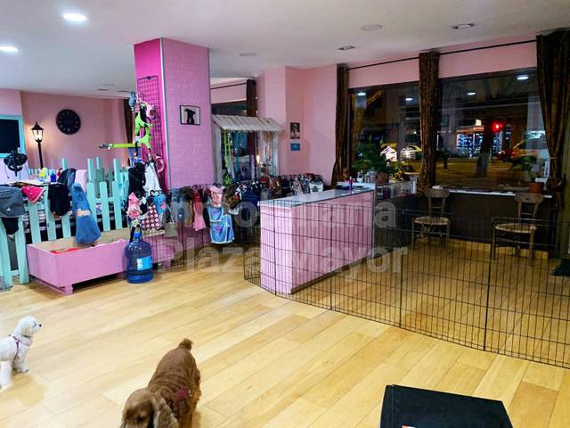 Local comercial en Alquiler en Calle Olmos en Chinchibarra