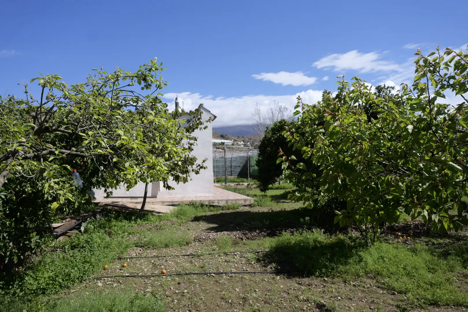Garden of Houses for sale in Berja  with Air Conditioner, Private garden and Terrace