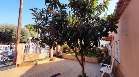 Photo 4 of House or chalet for sale in Els Pins, Blanes