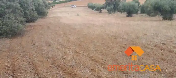 Terreni e lotti in vendita a Don Álvaro, imagen 6