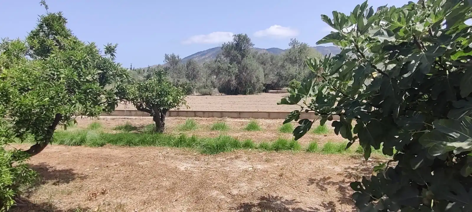 Finca rústica en venta en Benidorm con Jardín privado y Amueblado