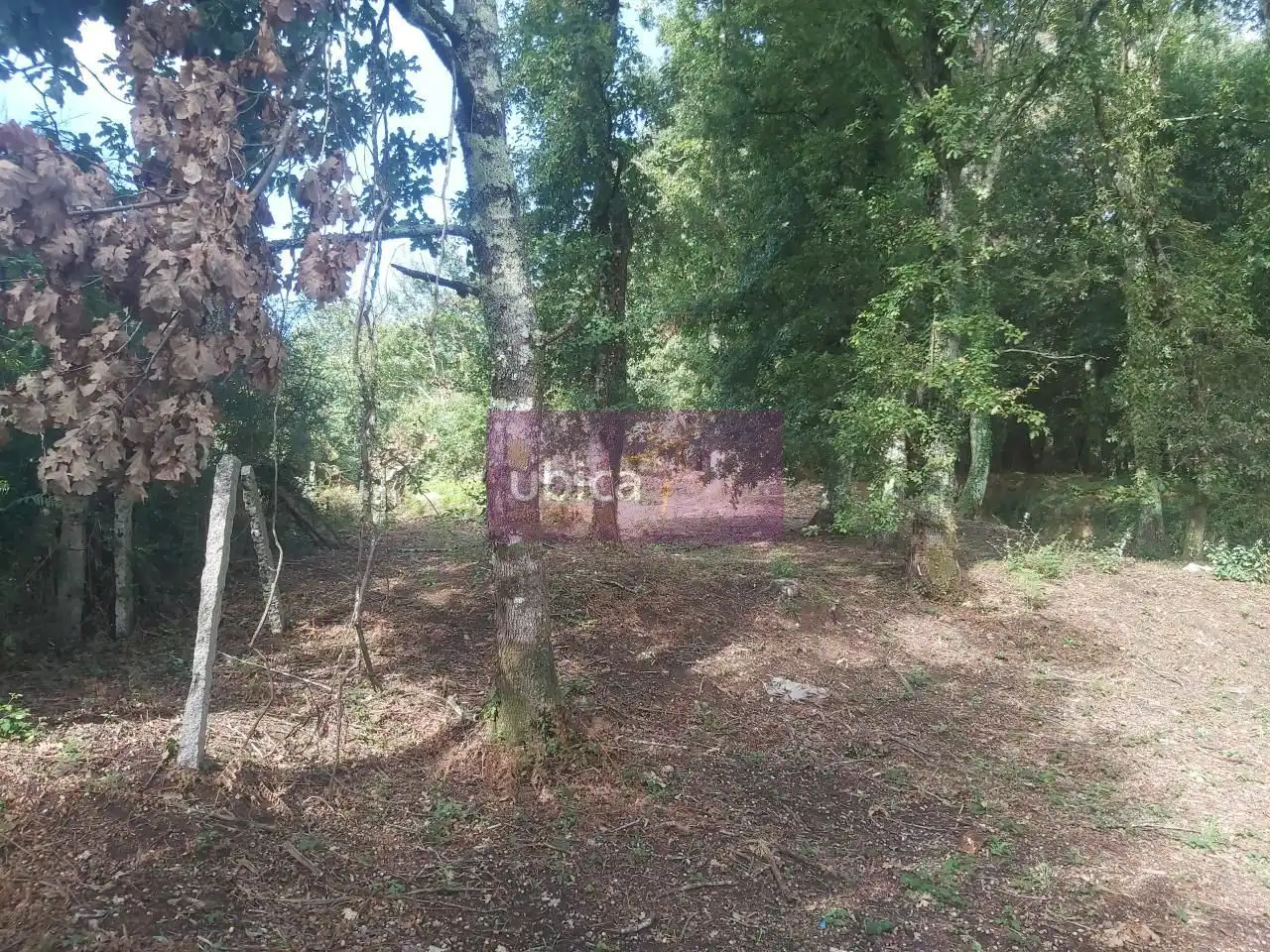 Terreny residencial en venda a O Porriño, imagen 15