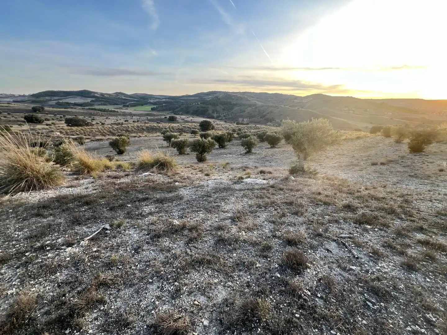 Rural land for sale in Polígono, imagen 3