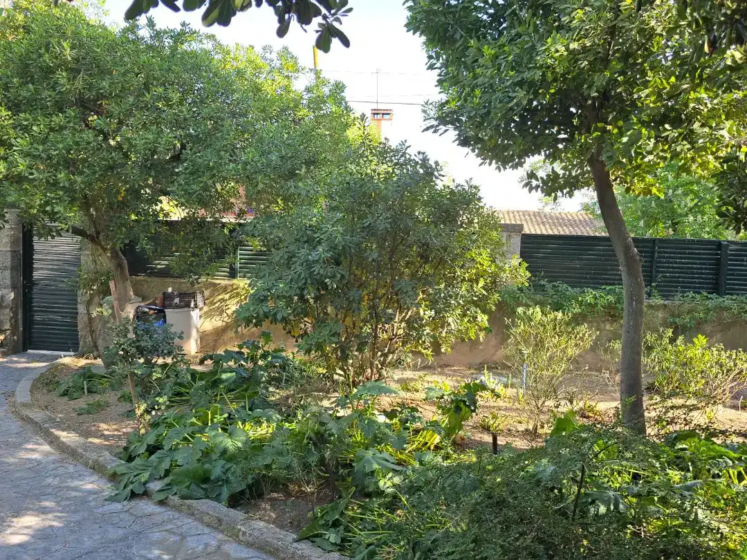 Jardín de Casa o chalet en venta en Colmenar Viejo con Piscina y Balcón