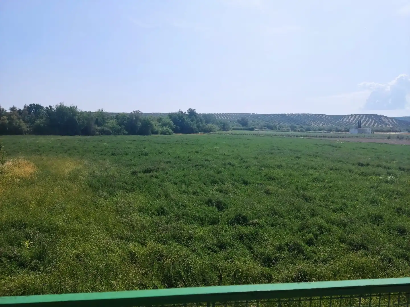 Finca rústica en venta en Jaén