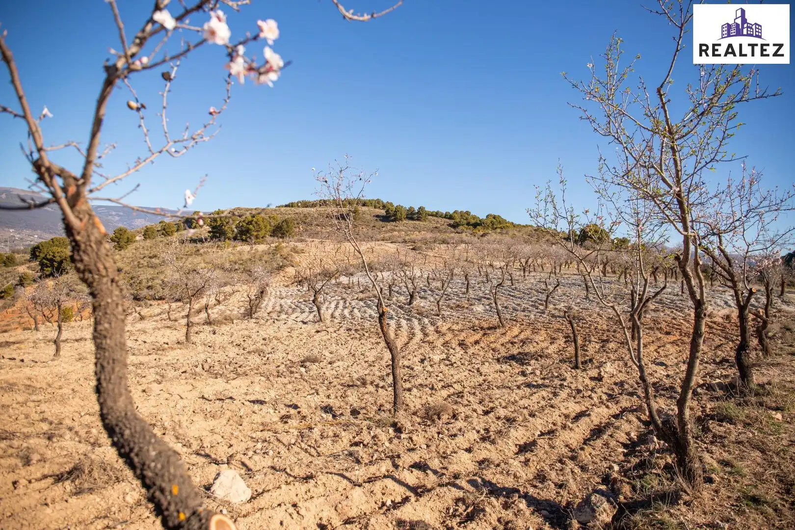 Rural land for sale in Laujar de Andarax