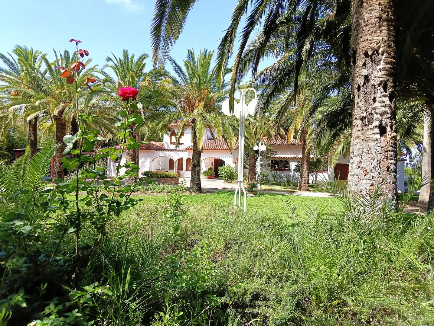 Jardí de Casa o xalet en venda en El Bosque amb Piscina comunitària
