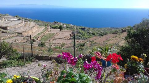 Foto 3 de Finca rústica en venda a Camino Montaña Abajo, El Escobonal - Pájara, Güímar