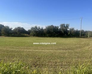 Land for sale in Térmens