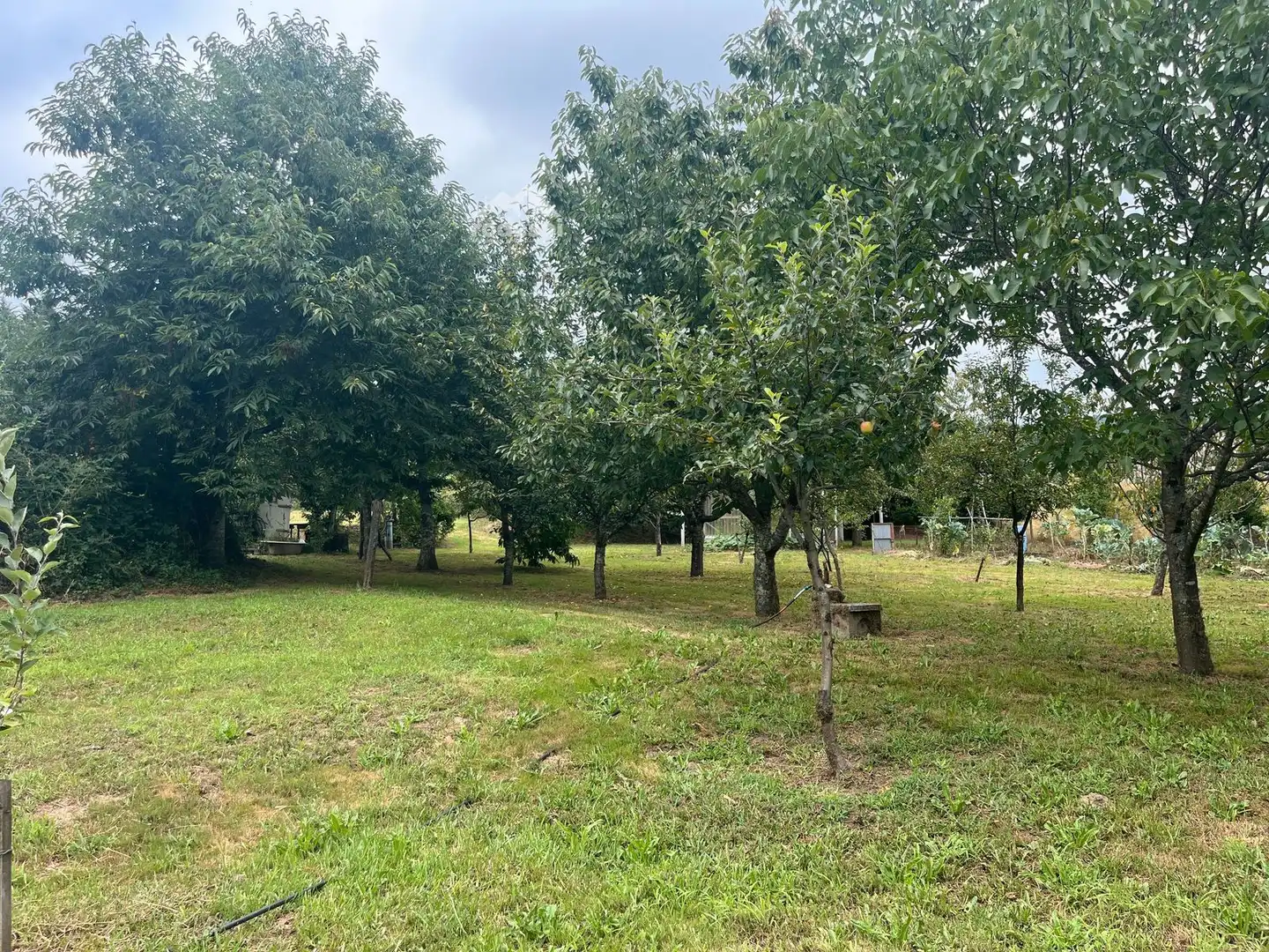 Rural land for sale in Covelo, imagen 26