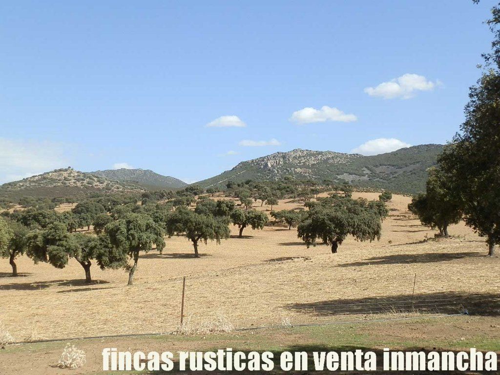 Land for sale in Peñalsordo
