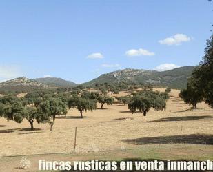 Land for sale in Peñalsordo